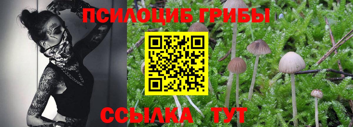 Джанкой  Галлюциногенные грибы Magic Shrooms  Вход с VPN 